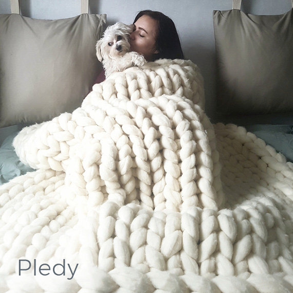 Pledy